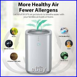 Large Room Air Purifier H13 HEPA Filter Air Cleaner for Home Allergie Dust Mold